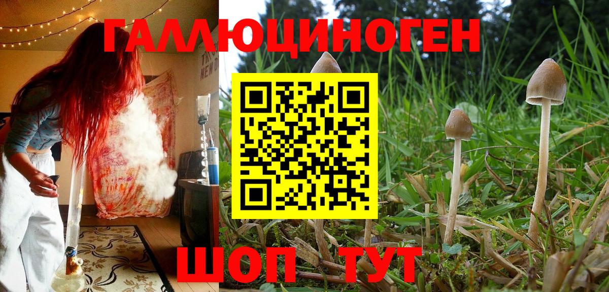 Псилоцибиновые грибы Magic Shrooms Петрозаводск