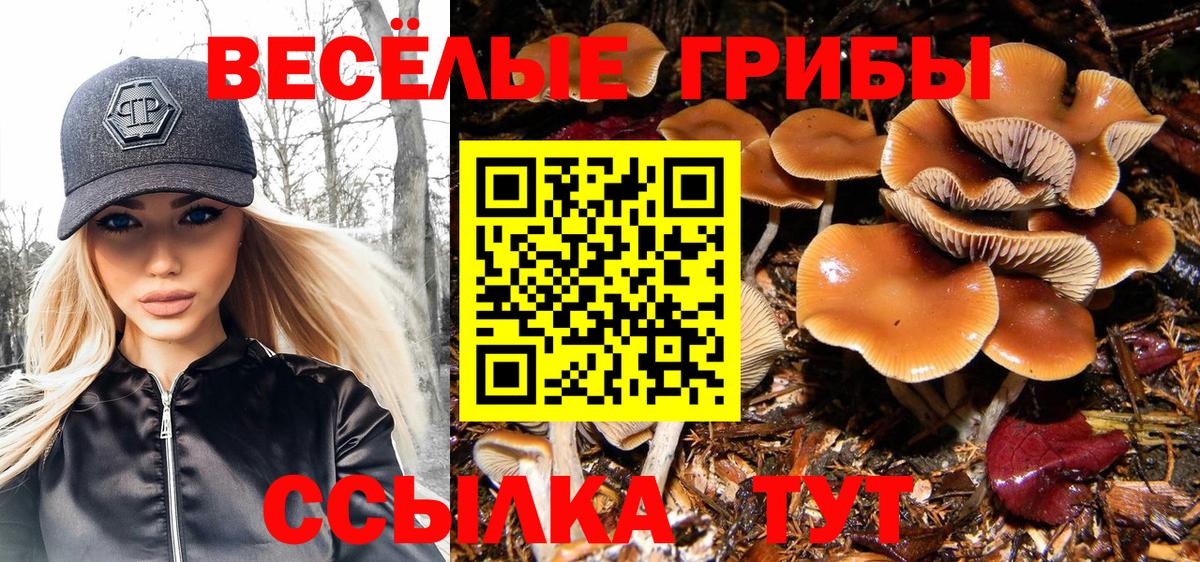 Псилоцибиновые грибы Cubensis  Вход с VPN  Петрозаводск  Псилоцибиновые грибы ЛСД 